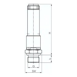 Zawór bezpieczenstwa wysokiej wydajnosci TÜV G 1/4" (DN8), 41,50 bar, Mosiadz