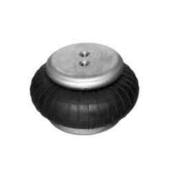 Siłownik mieszkowy BCP-250-074-SB (0822419004) - Aventics