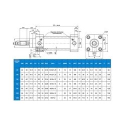 Siłownik ISO15552 D32x1000, wykonanie INOX