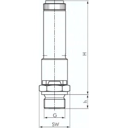 Zawór bezpieczeństwa o wysokiej wydajności TÜV G 1/2 (DN10), 24,00 bar, mosiądz niklowany