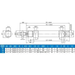 Siłownik ISO6432 D25x25, jednostronnego działania, pchający, z magnesem