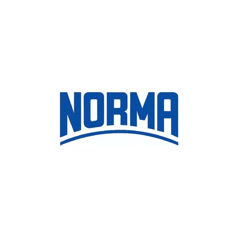 Opaska do sworzni GBS, dwuczęściowa, 236 - 256 mm, stal nierdzewna