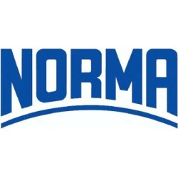 Opaska do sworzni GBS, dwuczęściowa, 296 - 316 mm, stal nierdzewna