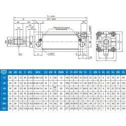 Siłownik ISO 15552 D32x125