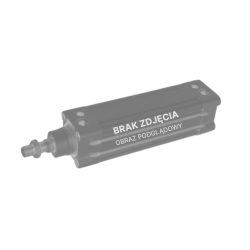 Siłownik mieszkowy BCP-260-223-DB-N014 (R432039557) - Aventics