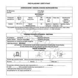 UDT-ZAWOR BEZPIECZEŃSTWA CERTYFIKACJA