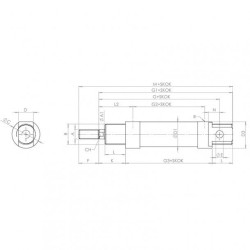 SIŁOWNIK JDP ISO 6432 FI 25/100 Z MAGNESEM