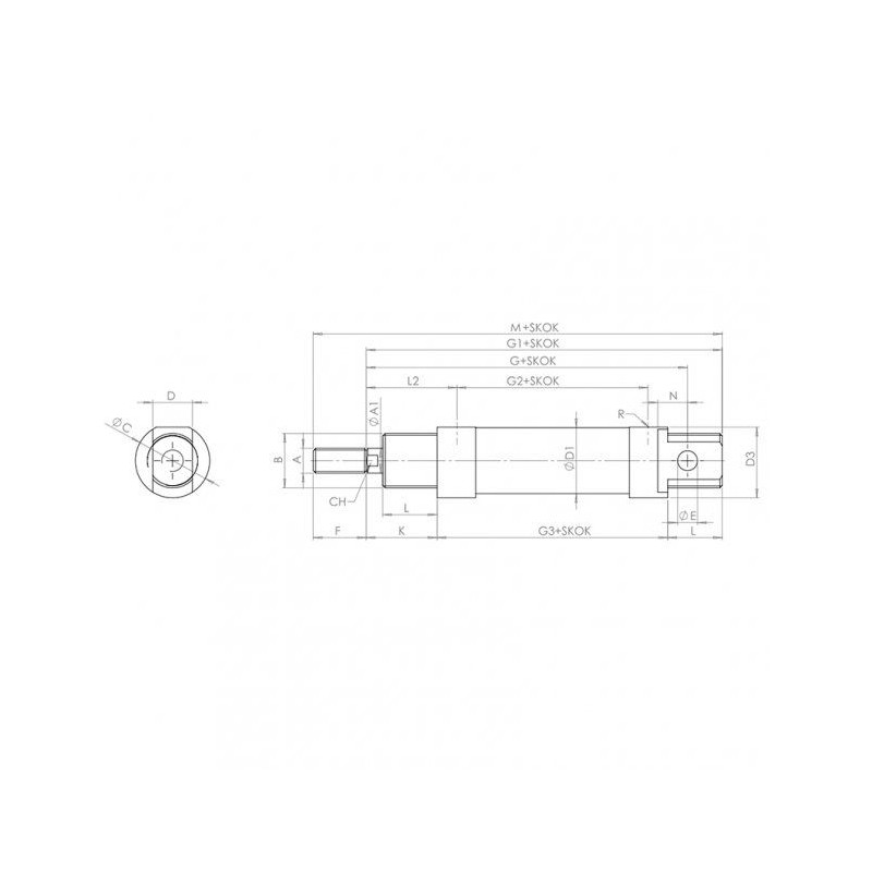 SIŁOWNIK JDP ISO 6432 FI 25/100 Z MAGNESEM