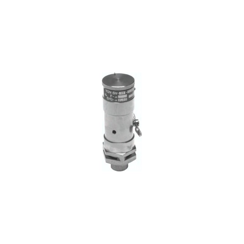 Zawór bezpieczeństwa o wysokiej wydajności TÜV G 1-1/4" (DN23), 10,00 bar, stal nierdzewna
