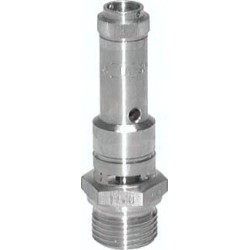 Zawór bezpieczeństwa o wysokiej wydajności TÜV G 1/2 (DN8), 29,00 bar, stal nierdzewna