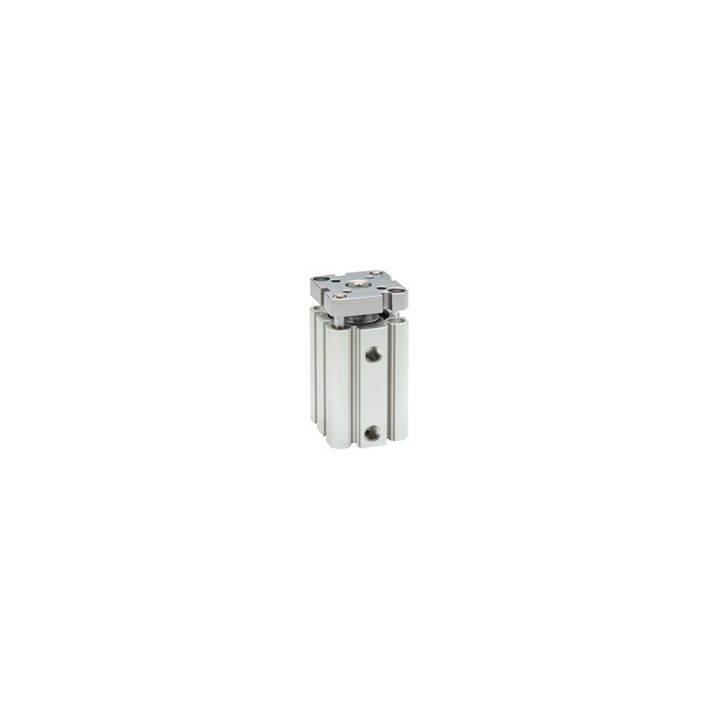 Siłownik ISO 21287 D20x80 - EMC